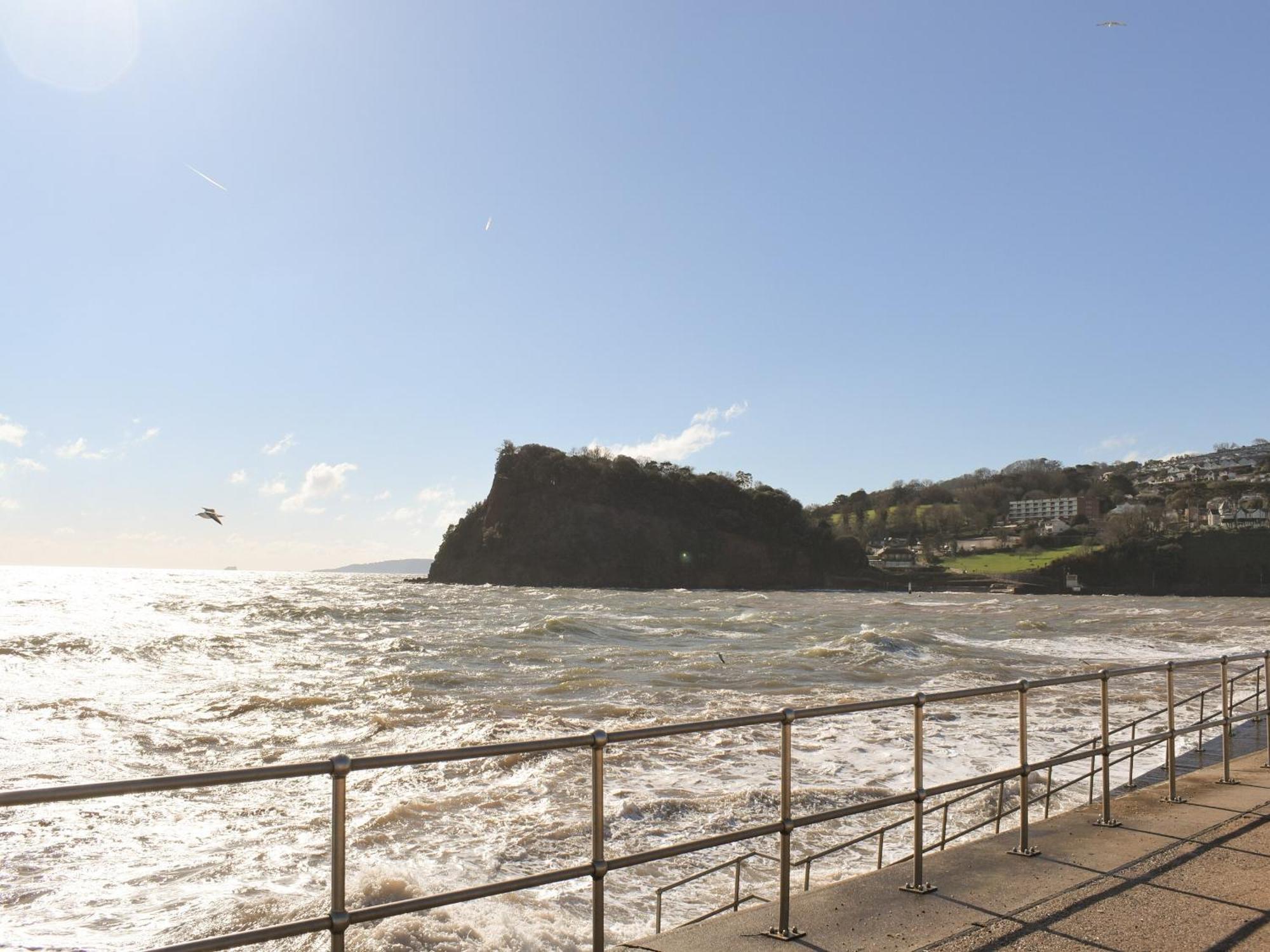 Primrose Cottage Teignmouth Dış mekan fotoğraf